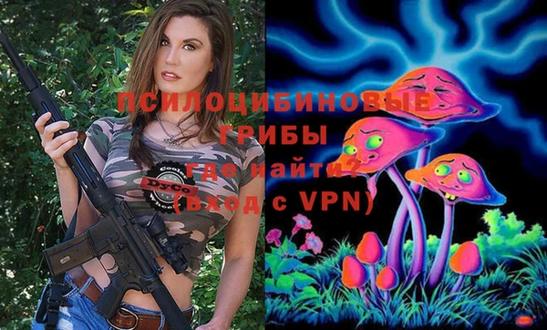 ешки Каменногорск