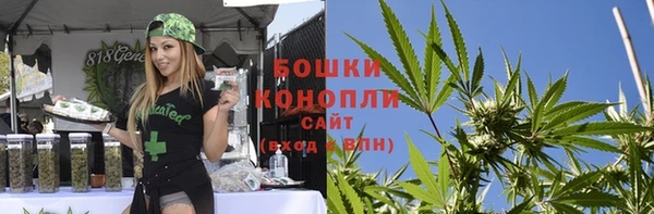 прущие грибы Каменка