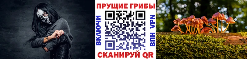 Псилоцибиновые грибы мицелий  Купить закладки  Богучар 