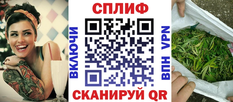 Купить где Богучар Канабис OG Kush